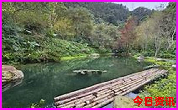 天水陇南甘南旅游路线
